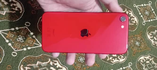 Apple iPhone SE 2020 For Sale Fresh Piece