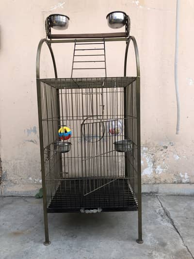 African Grey Cage With Toys