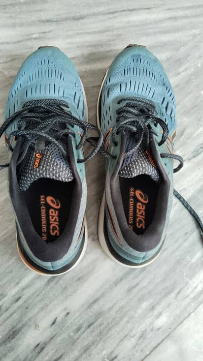 ASCIS GEL CUMULUS 20