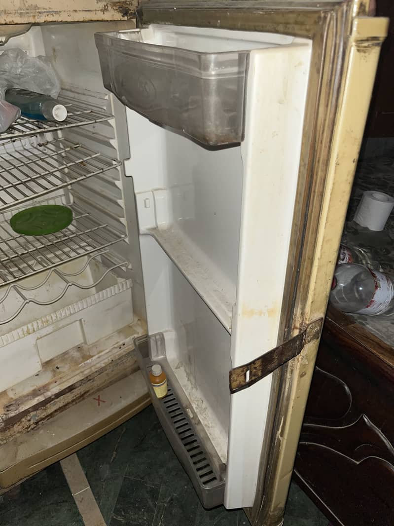 Waves refrigerator 3