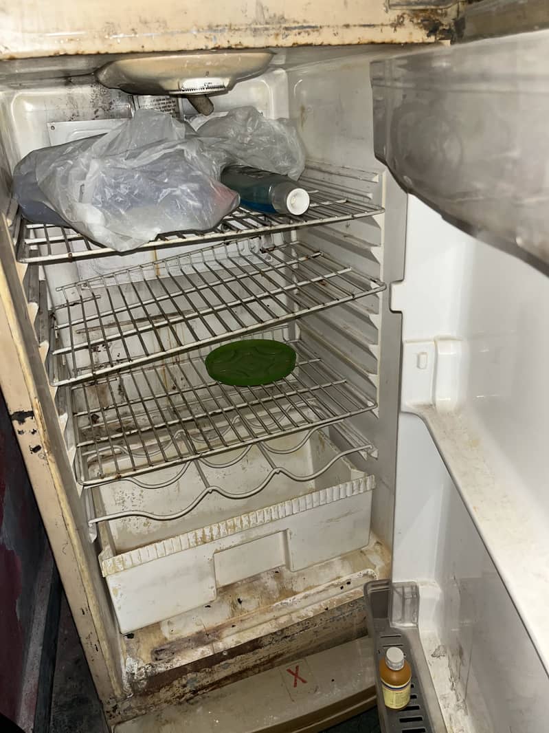 Waves refrigerator 4