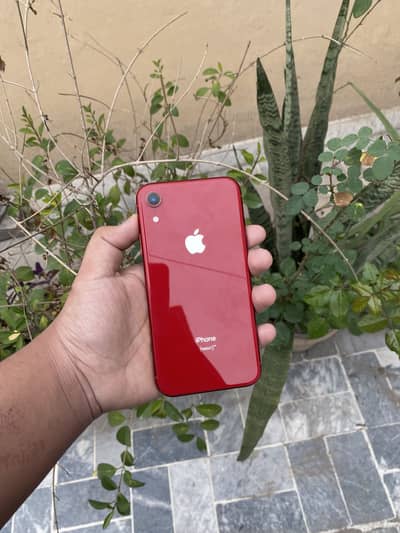 Iphone xr condition  10/8.5 colour : Red  jv  battery health :73
