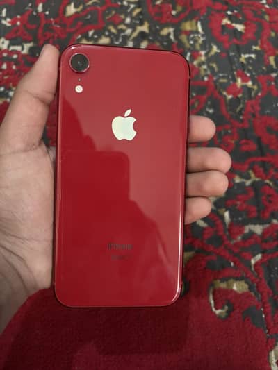 iPhone XR