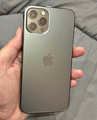 12 pro official pta approved