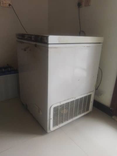 sangal door freezer ok ha