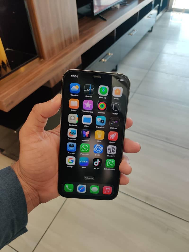 Iphone 12 Pro Max  Graphite 5