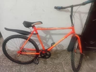 Phoenix cycle for sale urgent with back seat