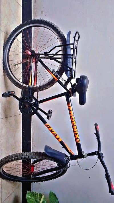 Original Phoenix Bicycle.