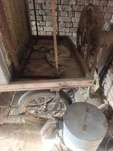 ریڑھی سیل صرف