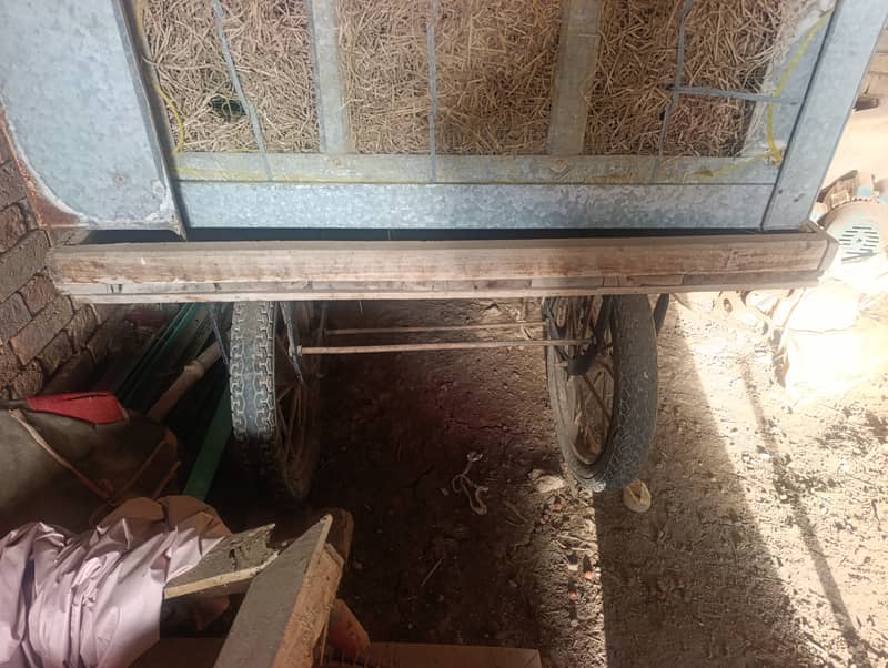 ریڑھی سیل صرف 1