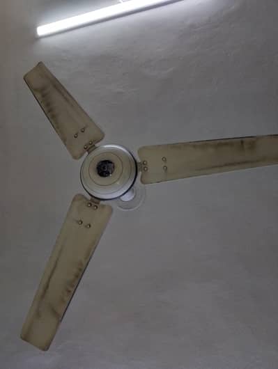 Royal Ceiling Fan for Sale – Good Working Condition