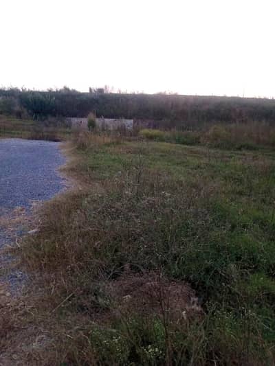 Park-Facing 25x50 Plot | Prime Location I-15/3