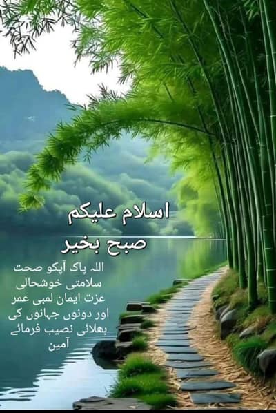 Xiaomi Redmi Turbo 4 Pro 12/256