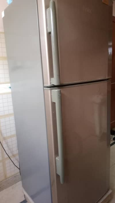 Haier 2 Door Refrigerator