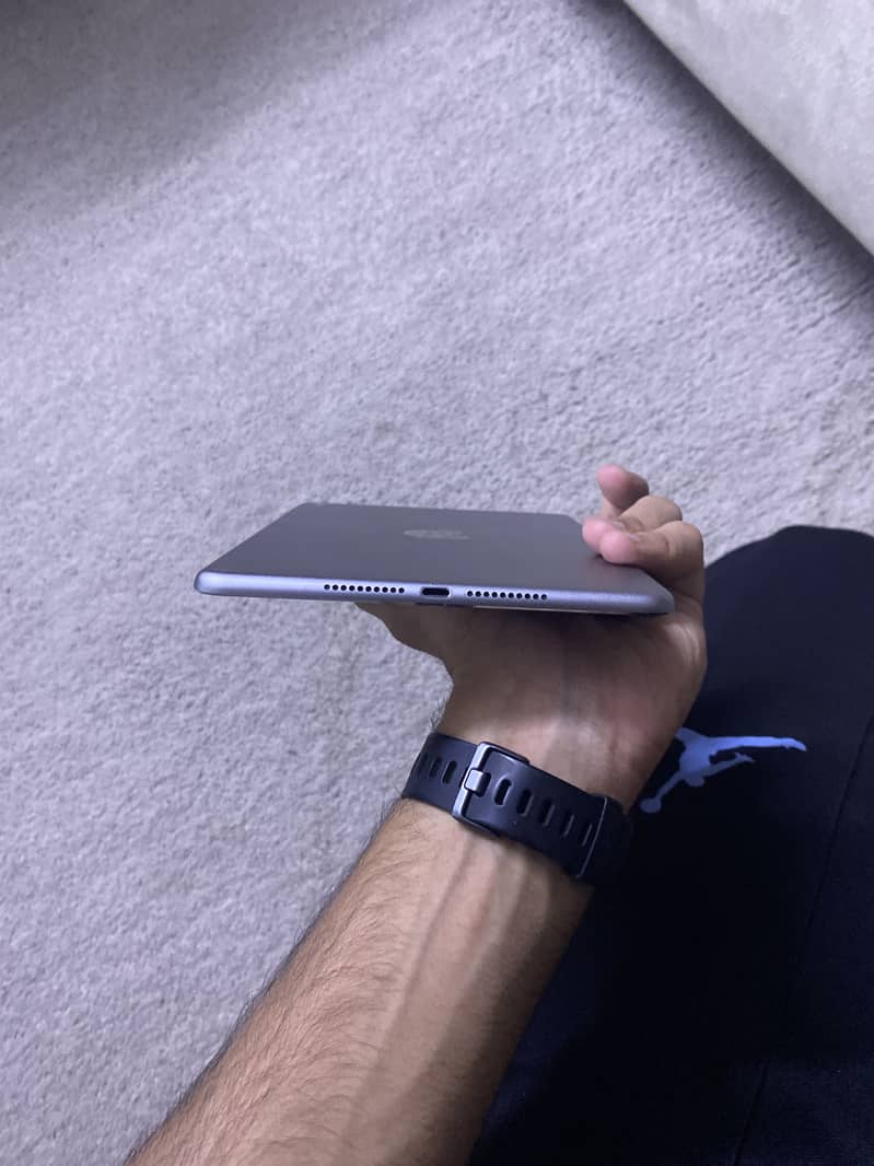 Ipad mini 4 2