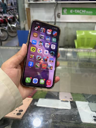 Duel sim e plus physical 13 pro max