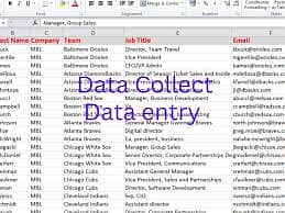 Data Entry Data Collection Work From Home Job