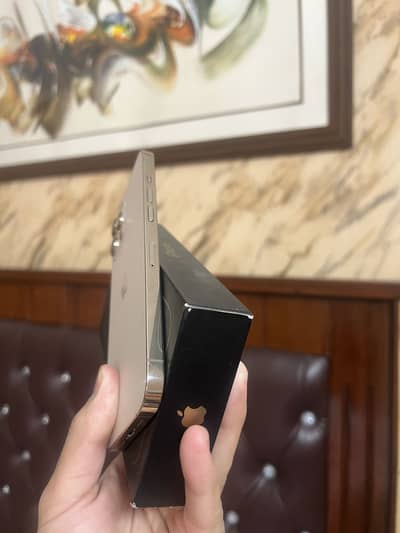 iPhone 12 Pro Max PTA 10/10