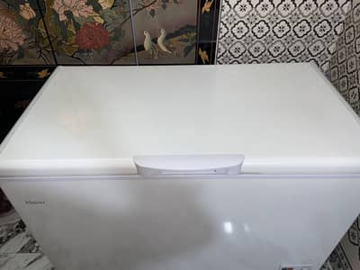 Haier single door freezer
