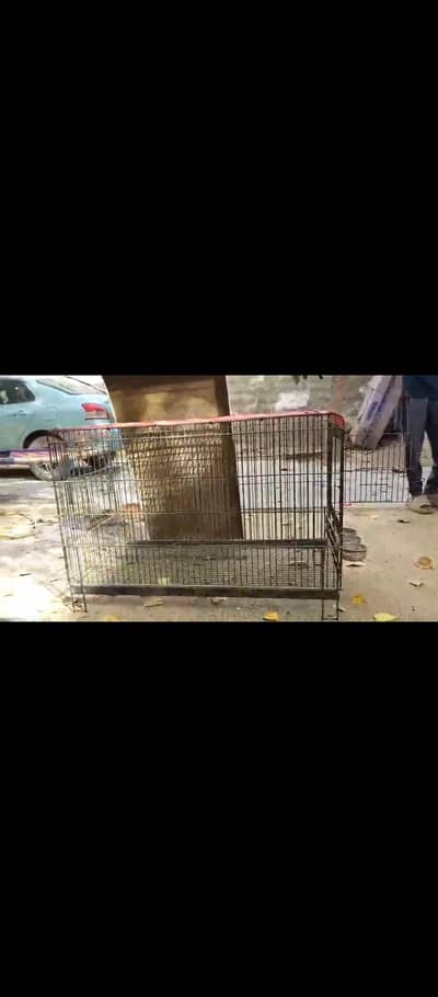 DOG CAGE