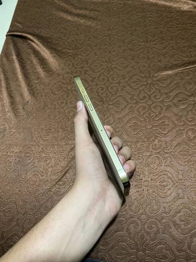 Iphone 12pro max dual pta