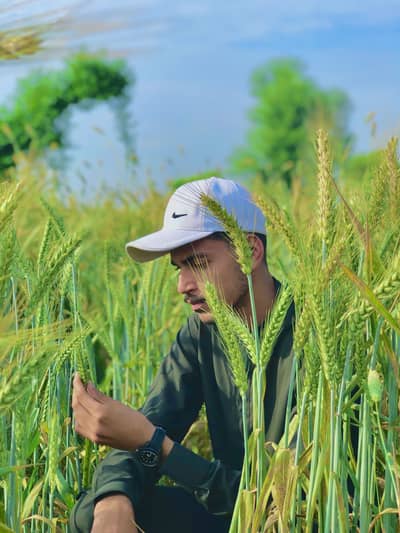 Shahryar Alvi