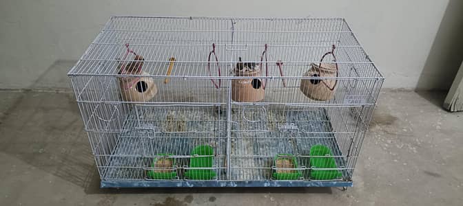 Finches with Cage