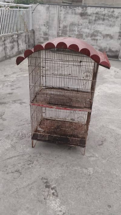 birds cage for sale