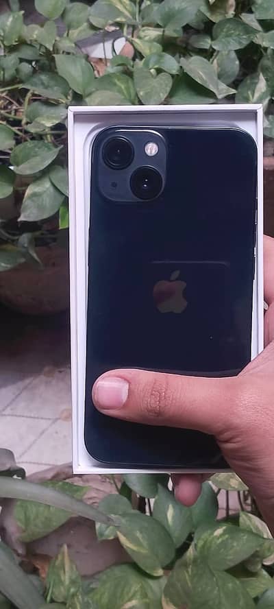 iPhone 13 brandnew boxpack ( in full apple warranty )