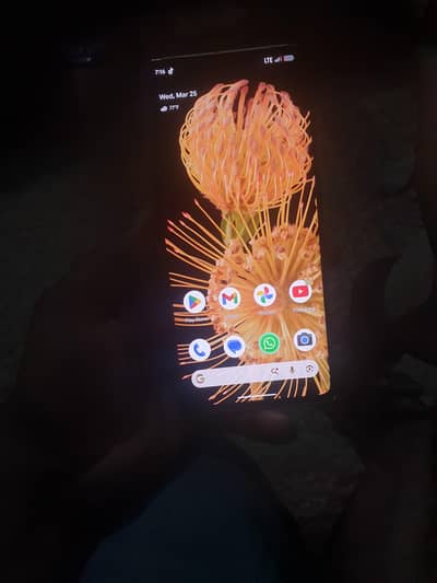 Google Pixle 6 pro 12/256