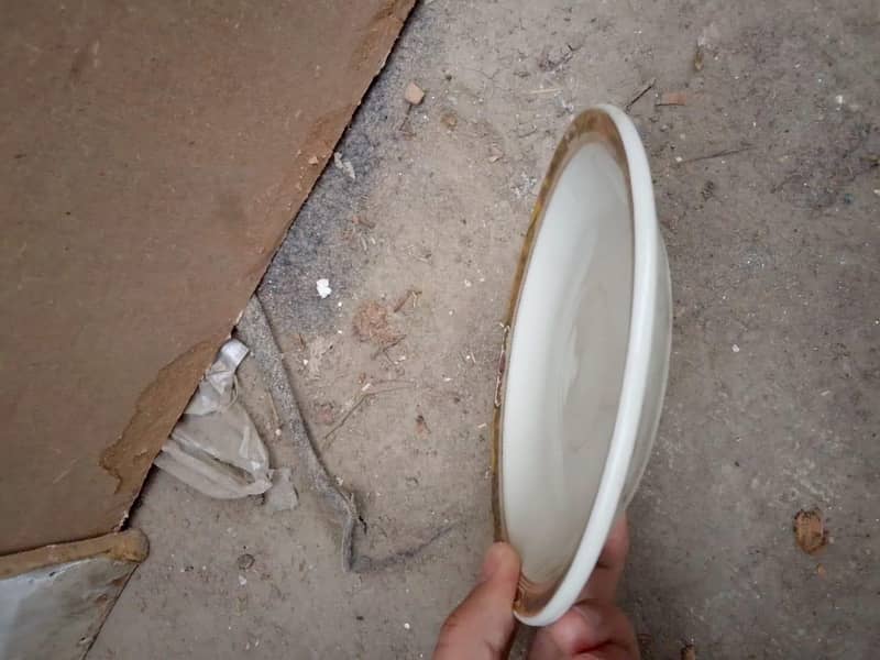 Ceramic serving plates 2