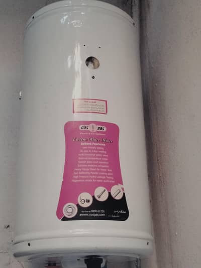 nesgas electric geyser