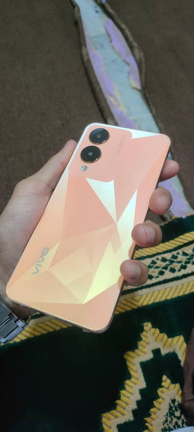 Vivo y17s 6+6. . . gb ram . . . 128 memory with box & charger