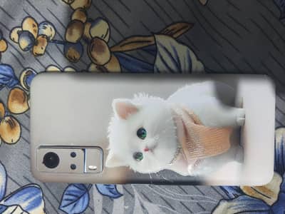 Vivo Y53s PTA approved