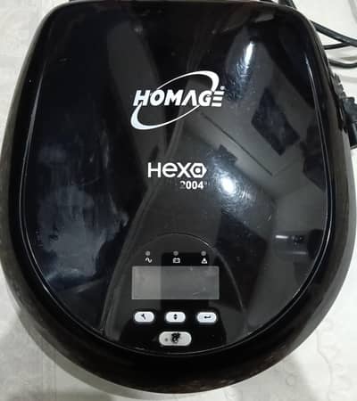 Homage UPS 1500 Watts & Exide HP200 Batteries