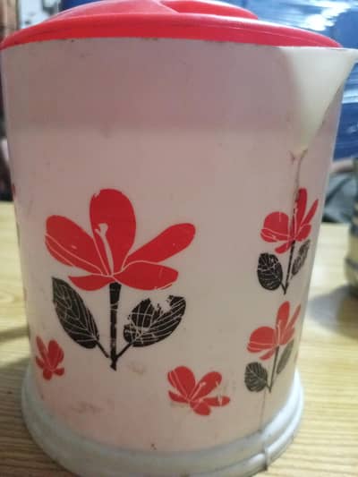 Beautiful healthy and active chicks