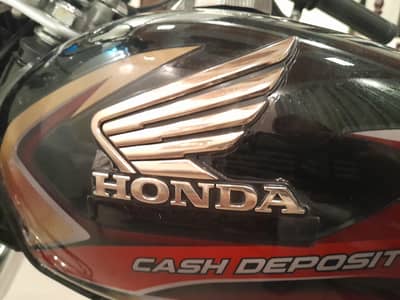 HONDA 70 PH 0-3-0-0-9-4-6-8-5-9-1 BRAND NEW FIT BIKE 2026