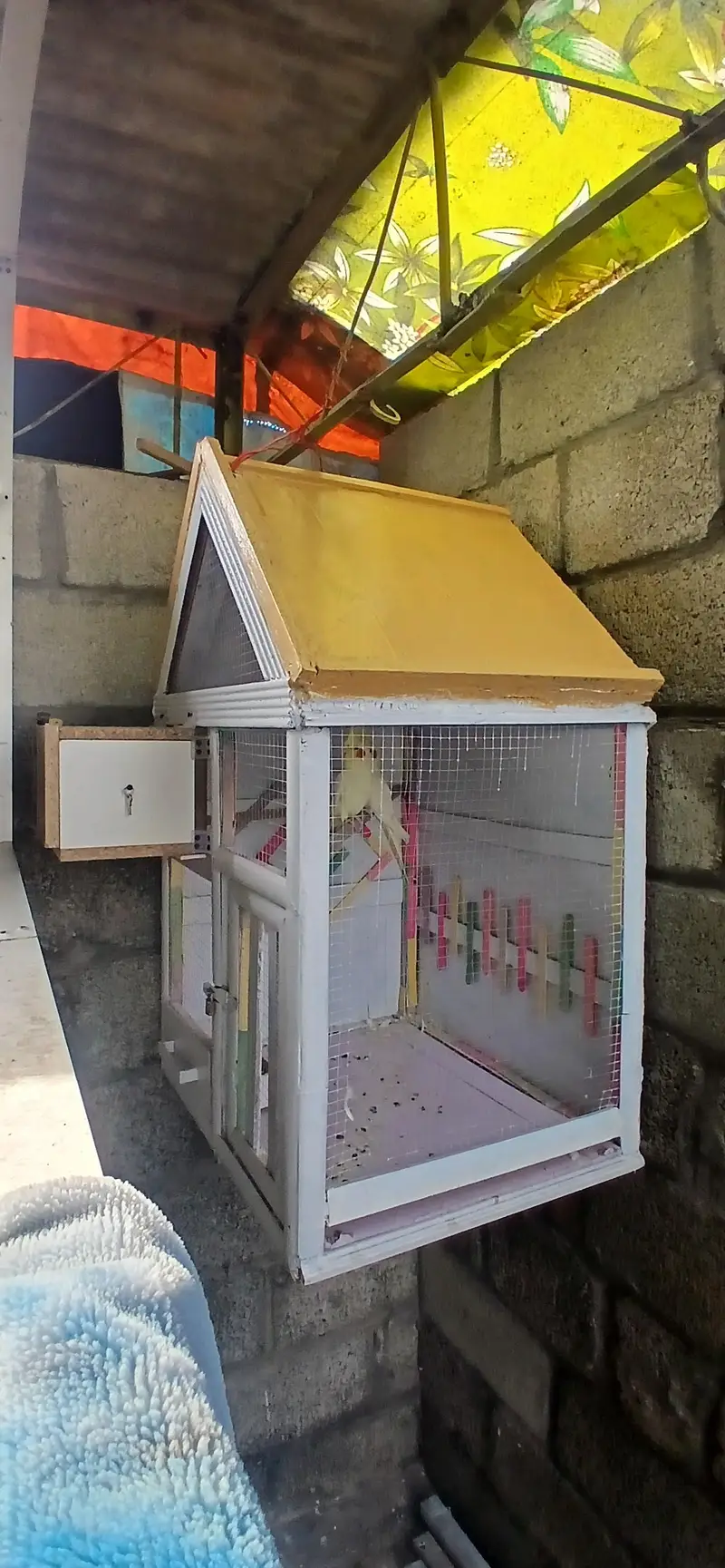 Wooden Parrot cage 03324965163 — photo 4