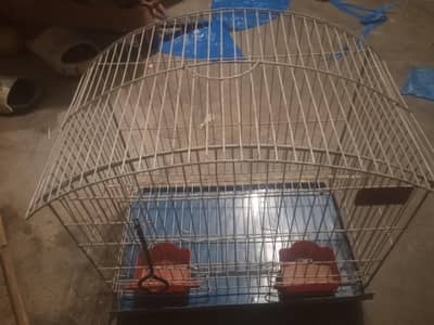 bird cage