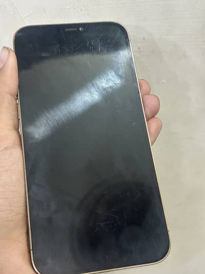 Iphone 12 pro max pta approved