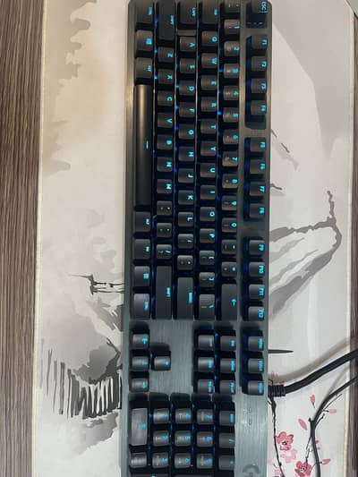 Logitech g513. (GX red switches)