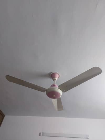 FAN FOR SELL