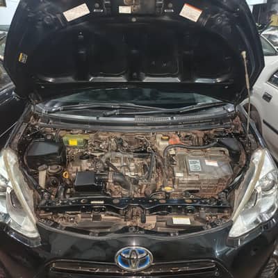 Black Aqua 2015/18 .