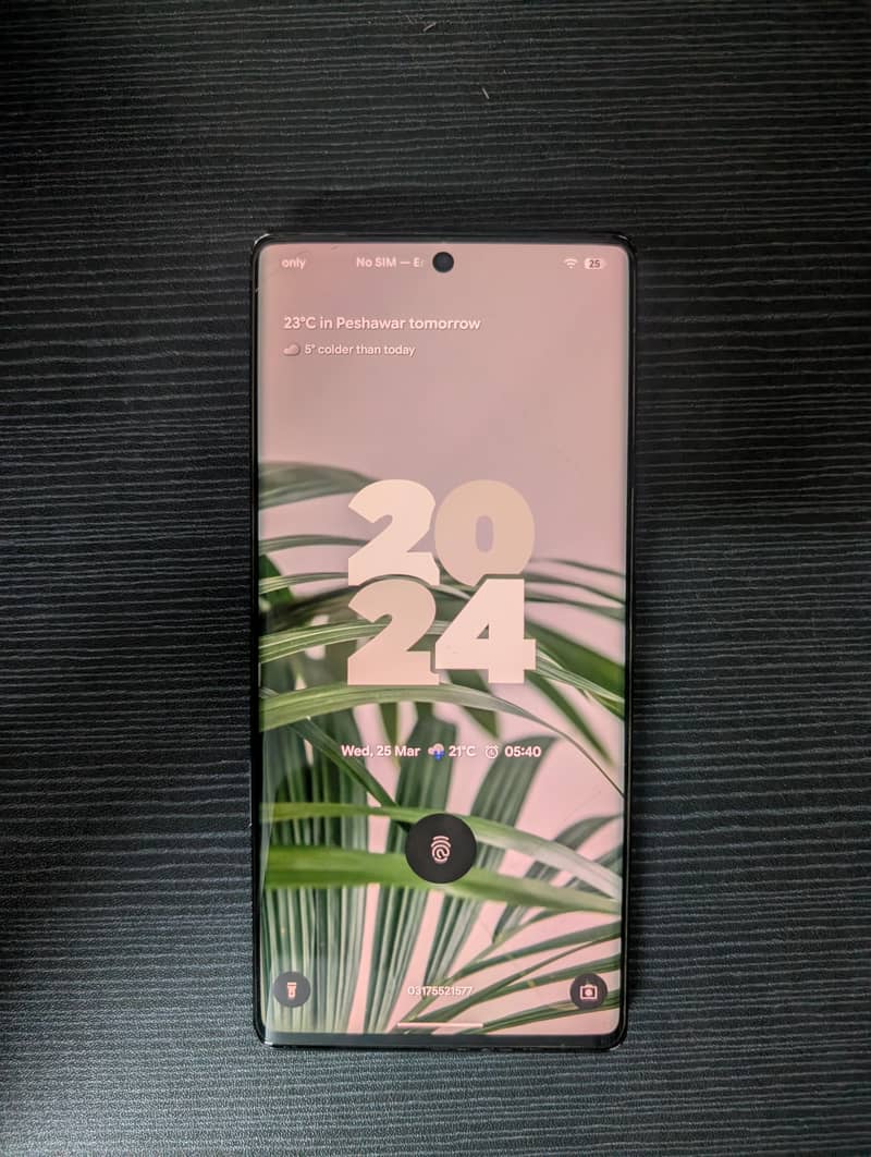 Google pixel 6 pro 1