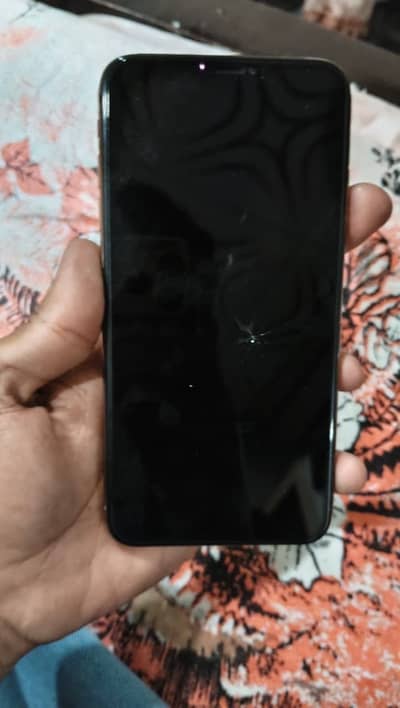 Xs max dual pta approved