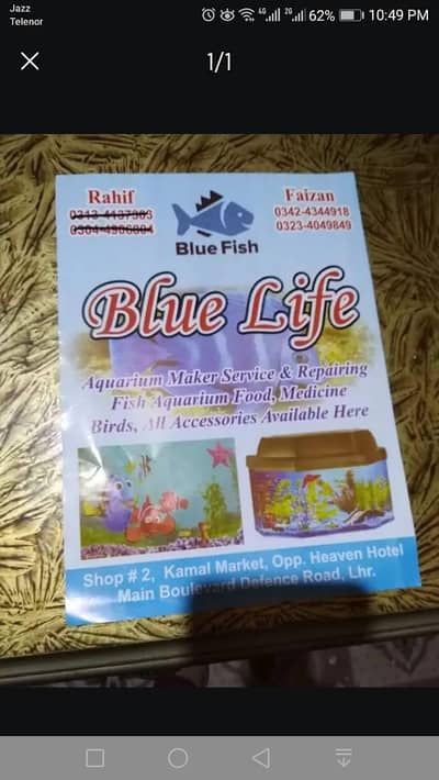 fish aquarium service or mantans k lye rabta kre