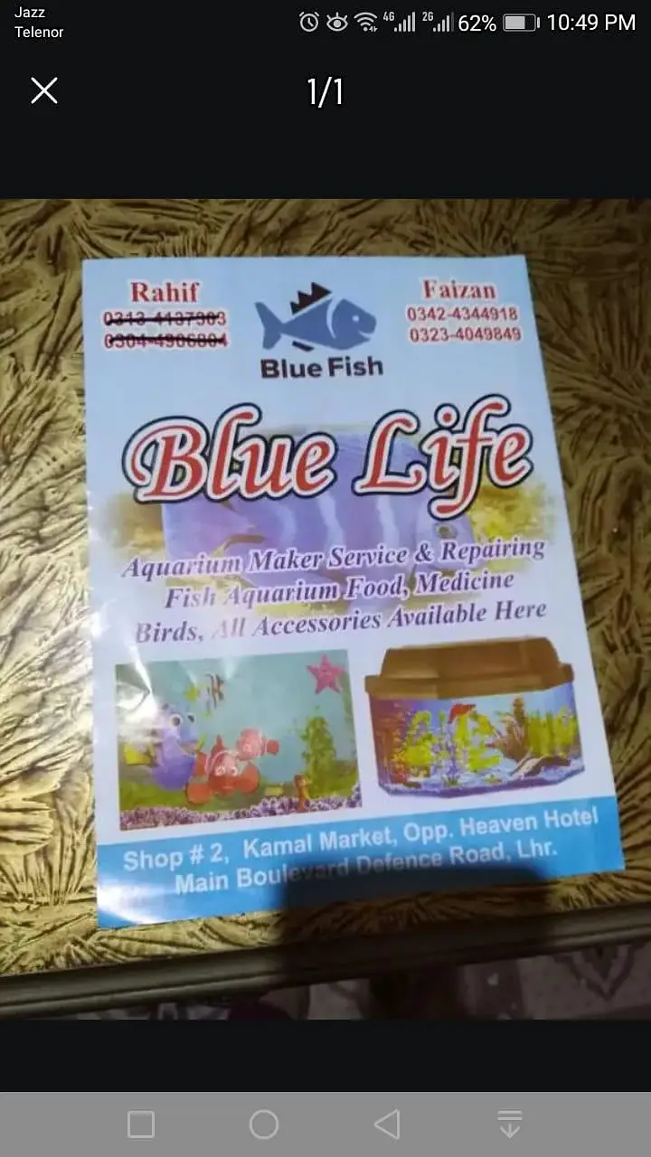 fish aquarium service or mantans k lye rabta kre