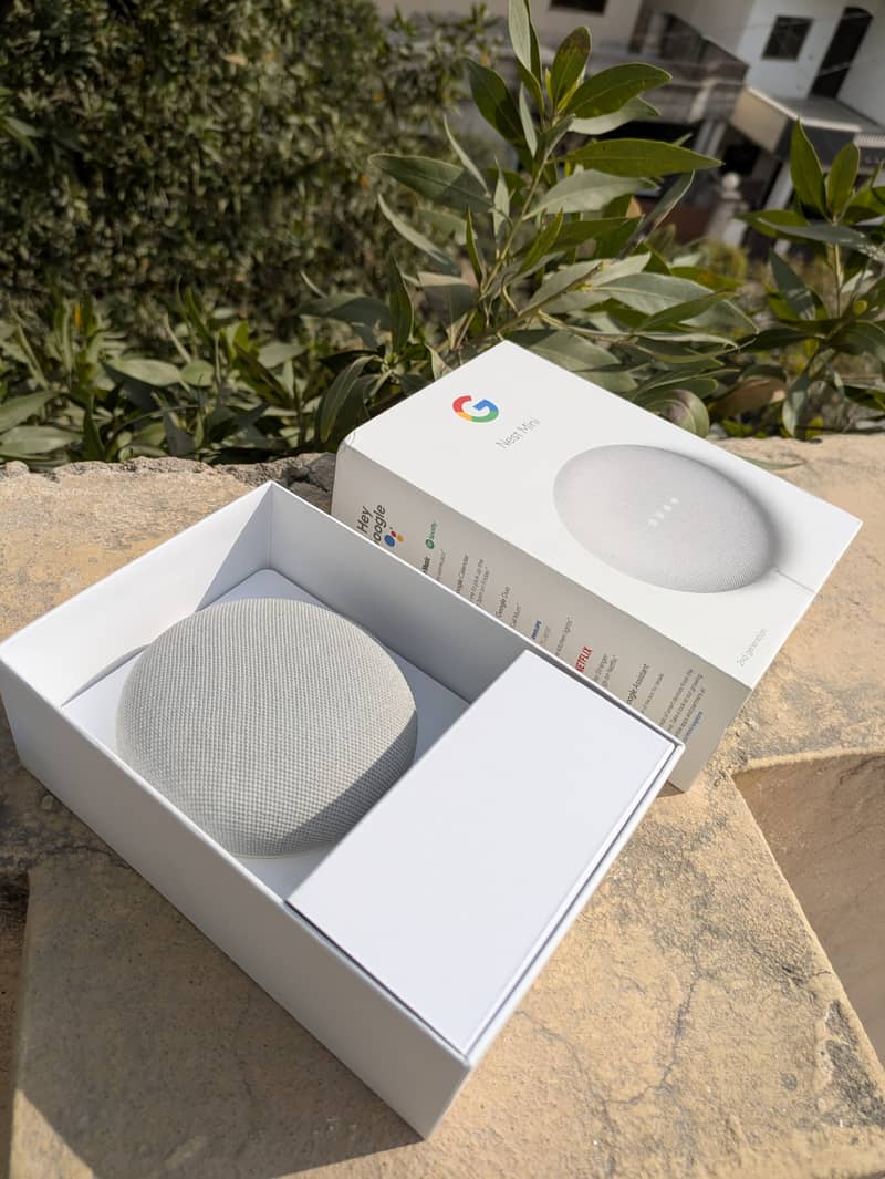 Google Nest Mini 2nd generation 2