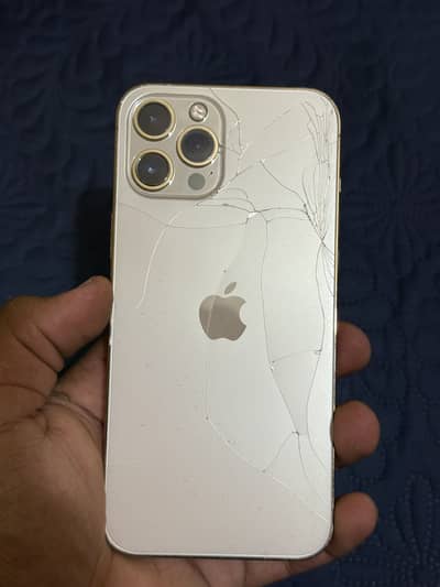 12 pro max pta approved