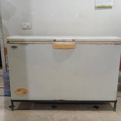 Jumbo size D freezer for sale
